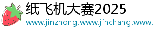 纸飞机大赛2025
